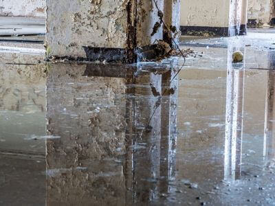 About Emergency Dry  Restore - mold remediation marietta experts in Atlanta