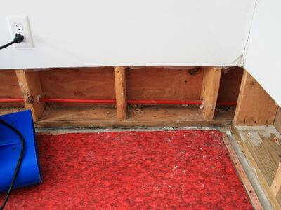 Professional mold remediation marietta services in Atlanta